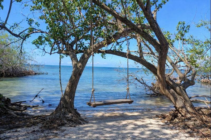 Tree swing overlooking Caribbean ocean
