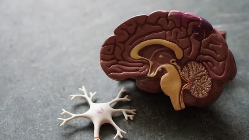 NeuroWell